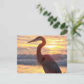 Great Blue Heron op zonsondergang Briefkaart (Staand voorkant)