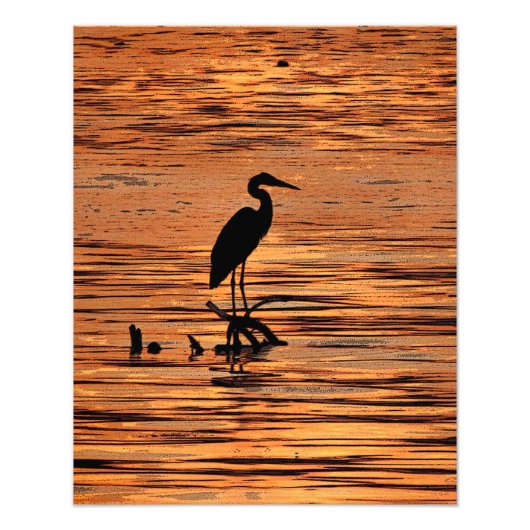Great Blue Heron op zonsondergang Foto Afdruk (Voorkant)