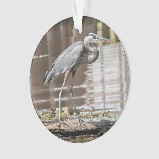 Great Blue Heron Ornament (voorkant)