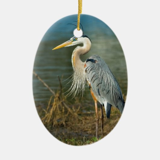 Great Blue Heron Ornament (Voorkant)