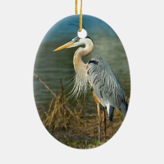 Great Blue Heron Ornament (Achterkant)