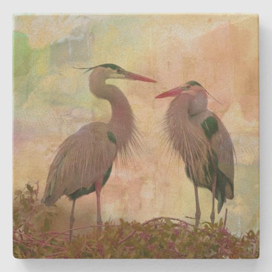 Great Blue Heron Pair Digital Art Stone Onderzette Stenen Onderzetter (Voorkant)