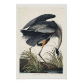 Great blue Heron Perfect Poster (Voorkant)