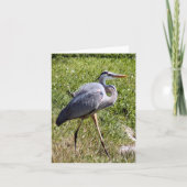 Great Blue Heron Photo Folded Note Kaart (Voorkant)