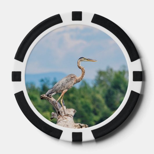 Great Blue Heron Pokerchips (Voorkant)