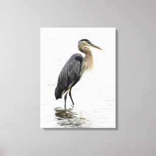Great Blue Heron Portrait Canvas Afdruk