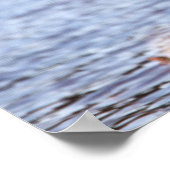 Great Blue Heron Poster (Hoek)