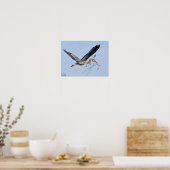 Great Blue Heron Poster (Keuken)