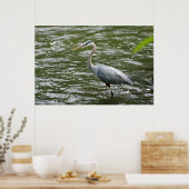 Great Blue Heron Poster (Keuken)