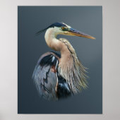 Great Blue Heron Poster (Voorkant)