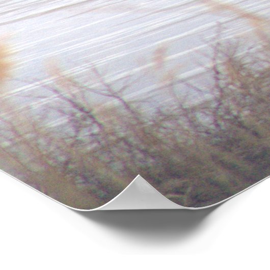 Great Blue Heron Poster (Hoek)