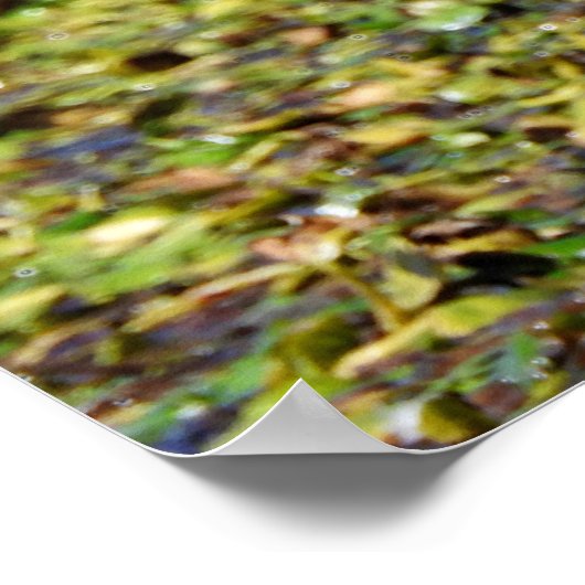 Great Blue Heron Poster (Hoek)