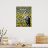 Great Blue Heron Poster (Keuken)