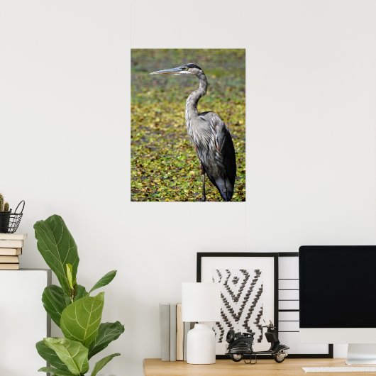 Great Blue Heron Poster (Thuiskantoor)