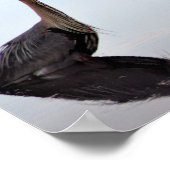 Great Blue Heron Poster (Hoek)