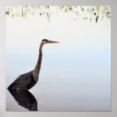 Great Blue Heron Poster (Voorkant)