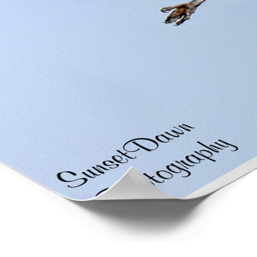 Great Blue Heron Poster (Hoek)