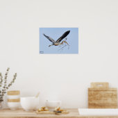 Great Blue Heron Poster (Keuken)
