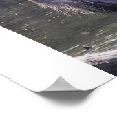 Great Blue Heron Poster (Hoek)