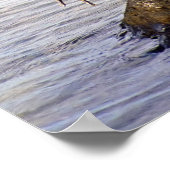 Great Blue Heron Poster (Hoek)