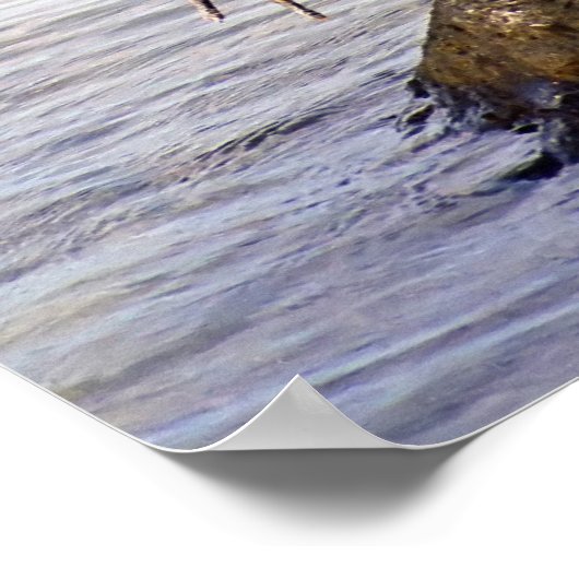 Great Blue Heron Poster (Hoek)