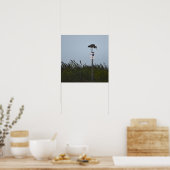 Great Blue Heron Poster (Keuken)