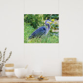 Great Blue Heron Poster (Keuken)