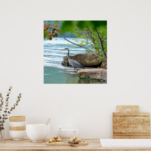 Great Blue Heron Poster (Keuken)