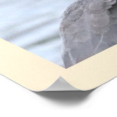 Great Blue Heron Poster (Hoek)