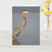 Great Blue Heron Profile Wenskaart Kaart (Gele Bloem)