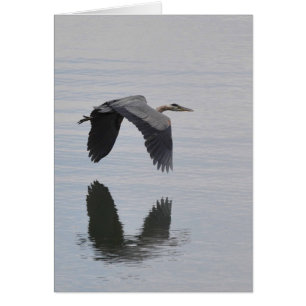 Great Blue Heron Reflected - Frameable Art Card