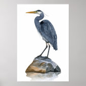 Great Blue Heron Rock Poster (Voorkant)