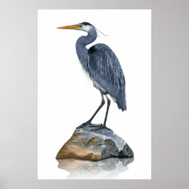 Great Blue Heron Rock Poster