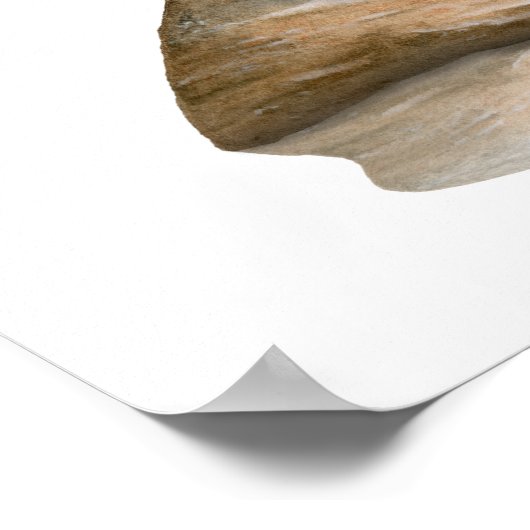 Great Blue Heron Rock Poster (Hoek)