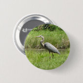 Great Blue Heron Ronde Button 5,7 Cm (Voorkant /achterkant)