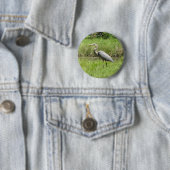 Great Blue Heron Ronde Button 5,7 Cm (In situ)