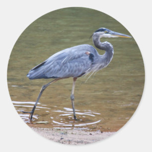 Great Blue Heron Ronde Sticker