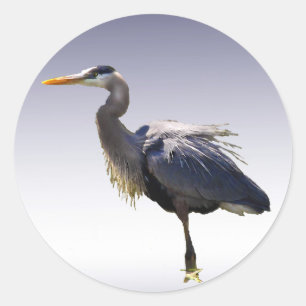 Great Blue Heron Ronde Sticker