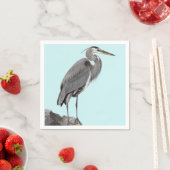 Great Blue Heron Servet (Insitu)