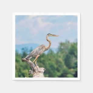 Great Blue Heron Servet