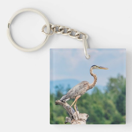 Great Blue Heron Sleutelhanger (Voorkant)