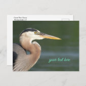 Great Blue Heron Sluiten Briefkaart (Voorkant / Achterkant)