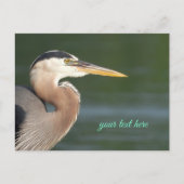 Great Blue Heron Sluiten Briefkaart (Voorkant)