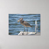 Great Blue Heron Sluiten Canvas Afdruk (Voorkant)