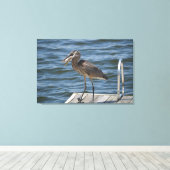 Great Blue Heron Sluiten Canvas Afdruk (Insitu (Houten vloer))
