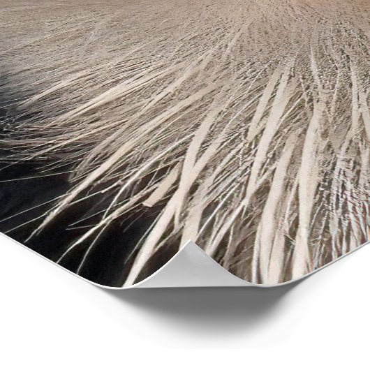 Great Blue Heron Sluiten Poster (Hoek)