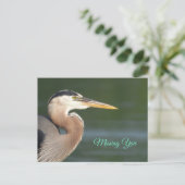 Great Blue Heron Sluiten Poster Briefkaart (Staand voorkant)