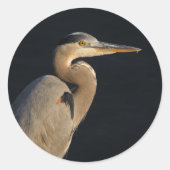 Great Blue Heron Sticker (Voorkant)