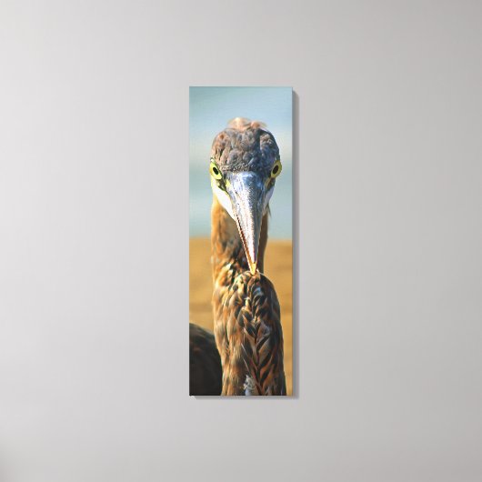 Great Blue Heron - Strandvogel - Paradijs - Foto Canvas Afdruk (Voorkant)