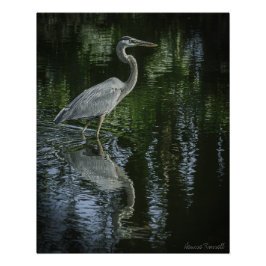 "Great Blue Heron" Stretched Canvas Print Perfect Poster